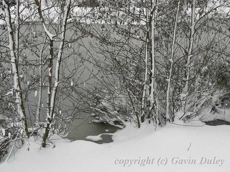 Snow, Blackheath P1070157.JPG